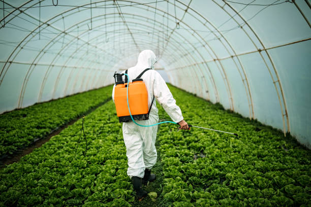 Best Pest Removal Services  in Englewood, OH