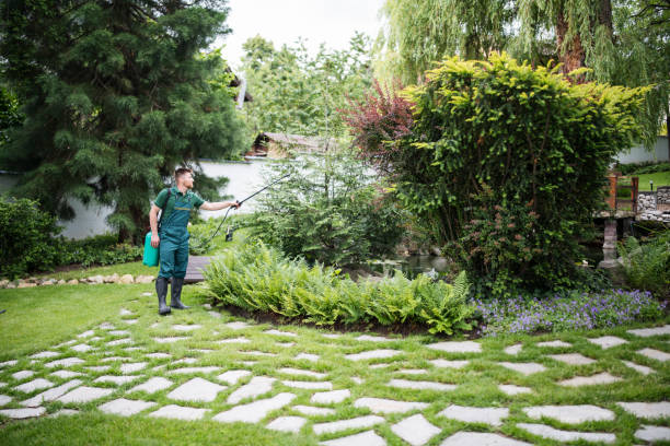 Reliable Englewood, OH Pest Control Solutions