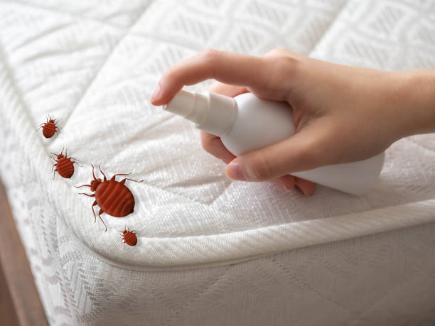 Best Emergency Pest Control  in Englewood, OH