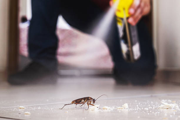 Best Insect Control  in Englewood, OH
